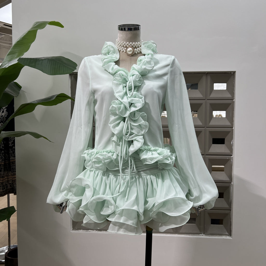 Felicia Mini Dress With Sleeve